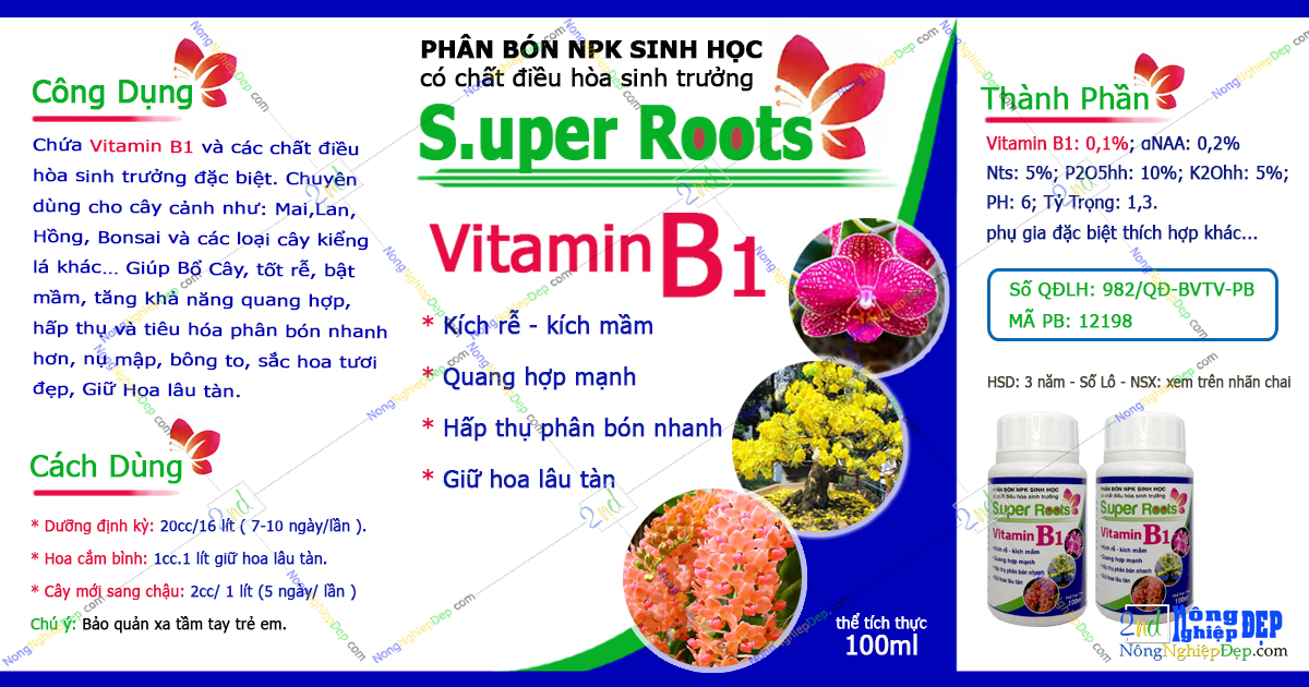 Dưỡng Hoa Lâu Tàn Super Root B1 100ml