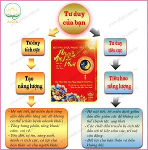 Bột Thảo Dược Phong Thủy Tăng Tài Lộc An Lôc Phát