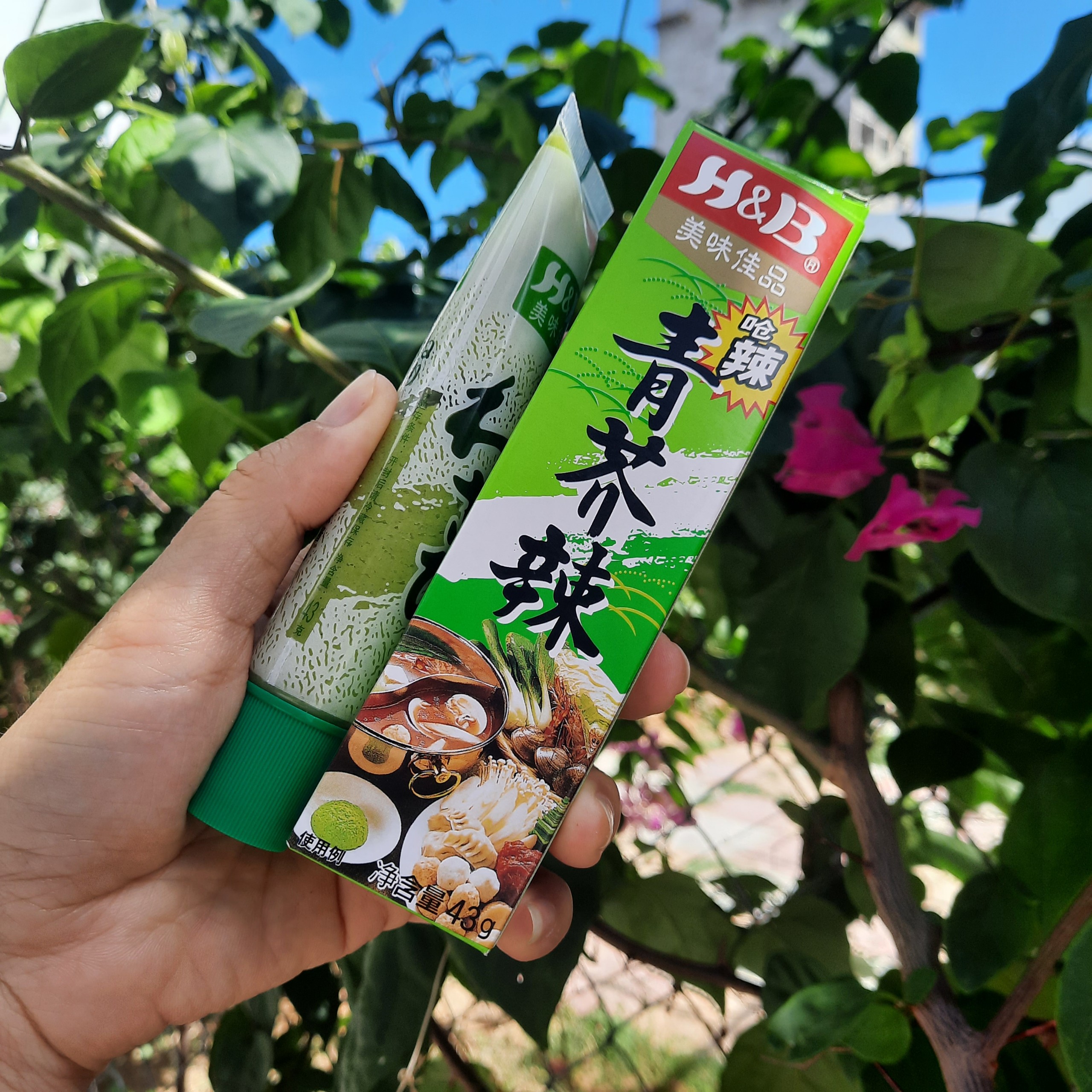 20 hộp mù tạt Wasabi Nhật Bản loại đặc biệt