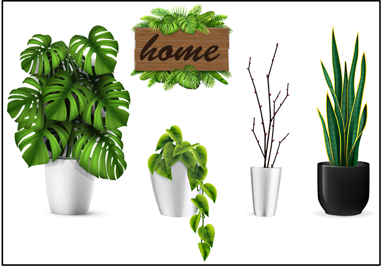 Decal dán tường chậu cây lớn - trang trí nhà cửa - thuthaodecor