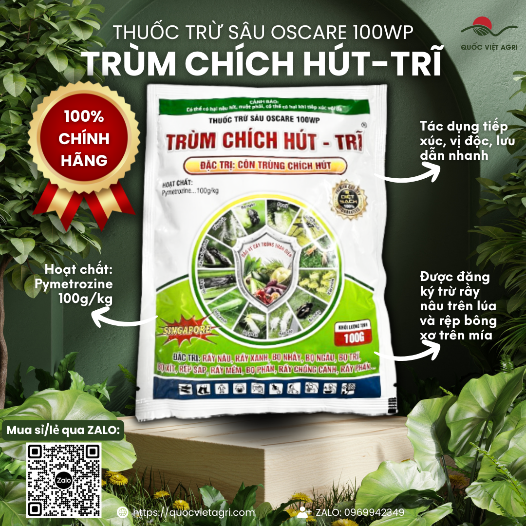  Thuốc trừ sâu OSCARE 100WP TRÙM CHÍCH HÚT  gói 100g  - Pymetrozine 100g kg Trị Rầy nâu rầy xanh bọ nhảy bọ ngâu bọ trĩ bọ xít rệp sáp rầy mềm bọ phấn rầy chổng cánh rầy phấn 
