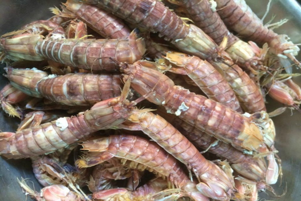 HCM - Tôm Tít Hấp Nguyên Con 1Kg