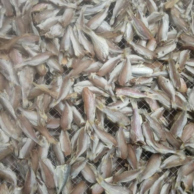 Khô cá đù 1 nắng 110.000₫kg.