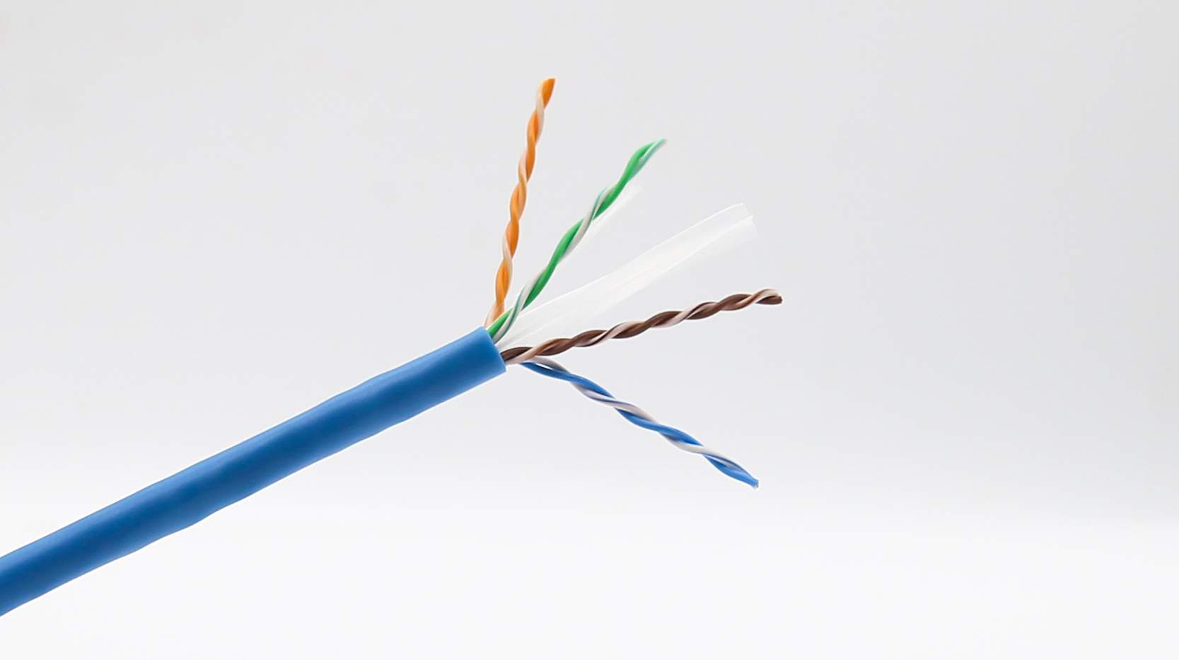 Dây Cáp Mạng CAT6 Lõi Chữ Thập Chống Nhiễu Dây Đồng Alantek USA AMP Kèm 2 Đầu Bấm Mạng Dây Internet 8 Lõi Dây Điện