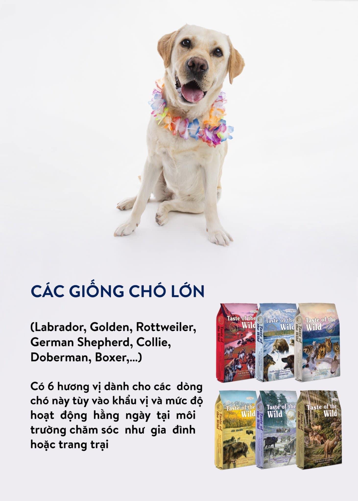 Hạt chó taste of the wild