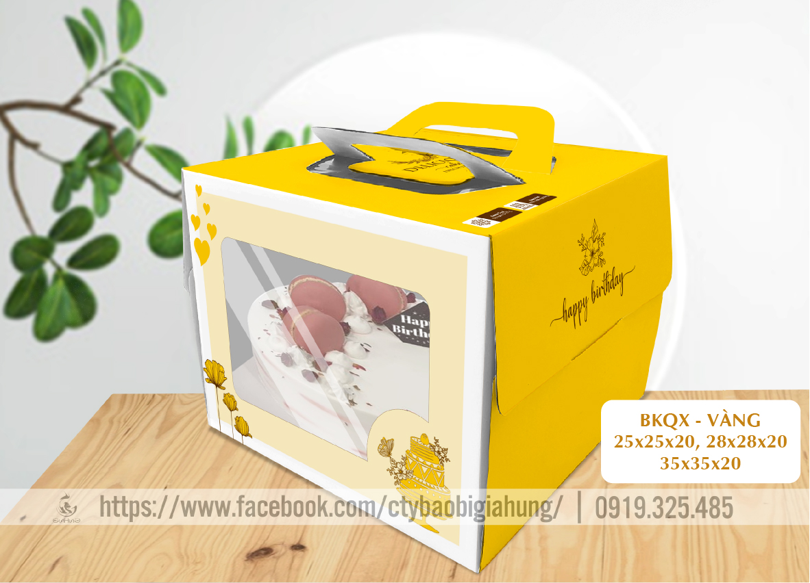 Combo 10 Hộp Bánh Kem Quai Xách (35x35x17cm)