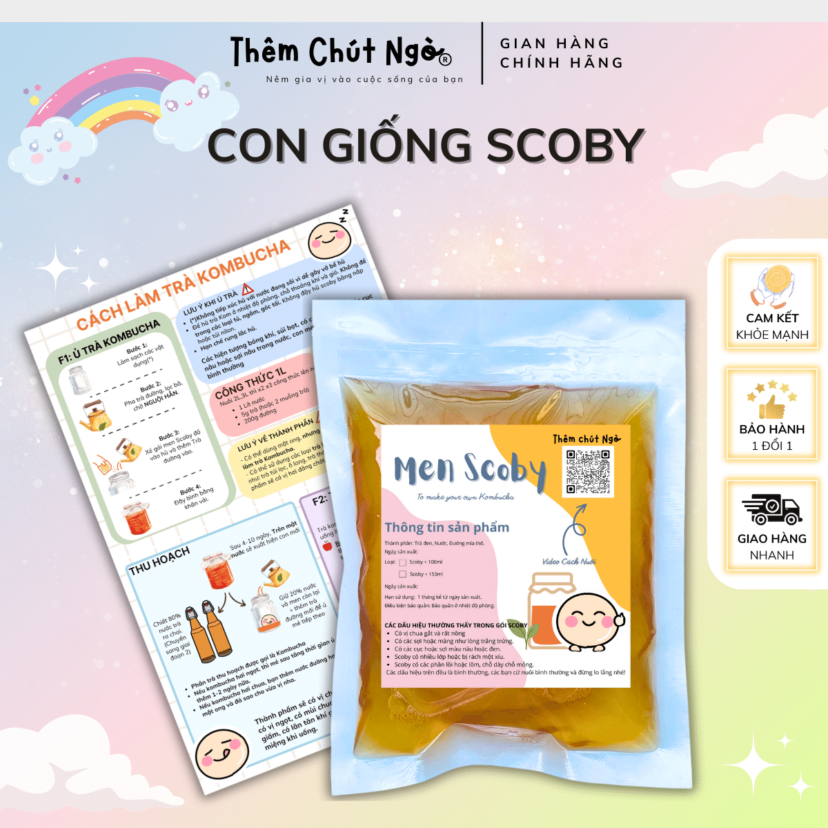 SCOBY kèm 100ml nước mồi - Con giống làm trà Kombucha