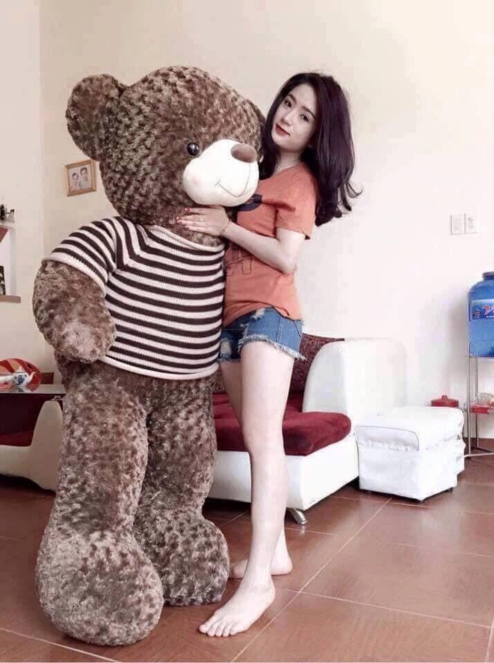 Gấu bông Teddy cao cấp - Khổ vải 1,6m cao 1,4m màu cafe
