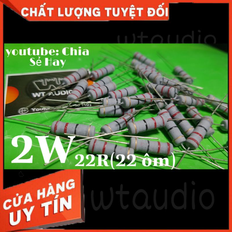 10 con Điện trở 22 ohm 2W