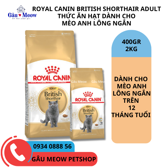 Gauvameow Hạt Royal Canin British Shorthair Adult cho mèo Anh lông ngắn trên 12 tháng tuổi