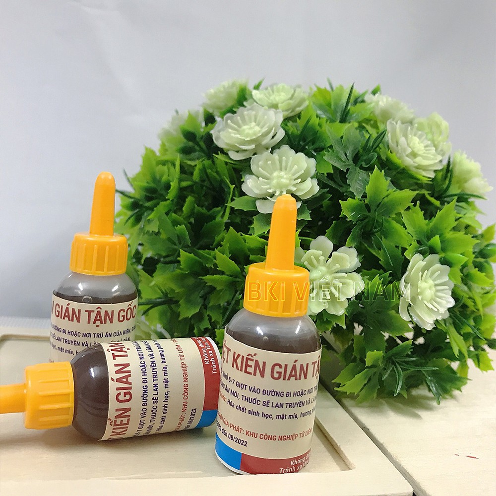 Thuốc diệt kiến gián tận gốc, thuốc diệt côn trùng sinh học an toàn hiệu quả