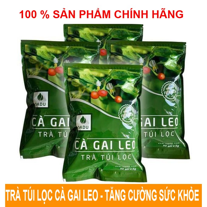 Trà cà gai leo sadu 200 túi lọc