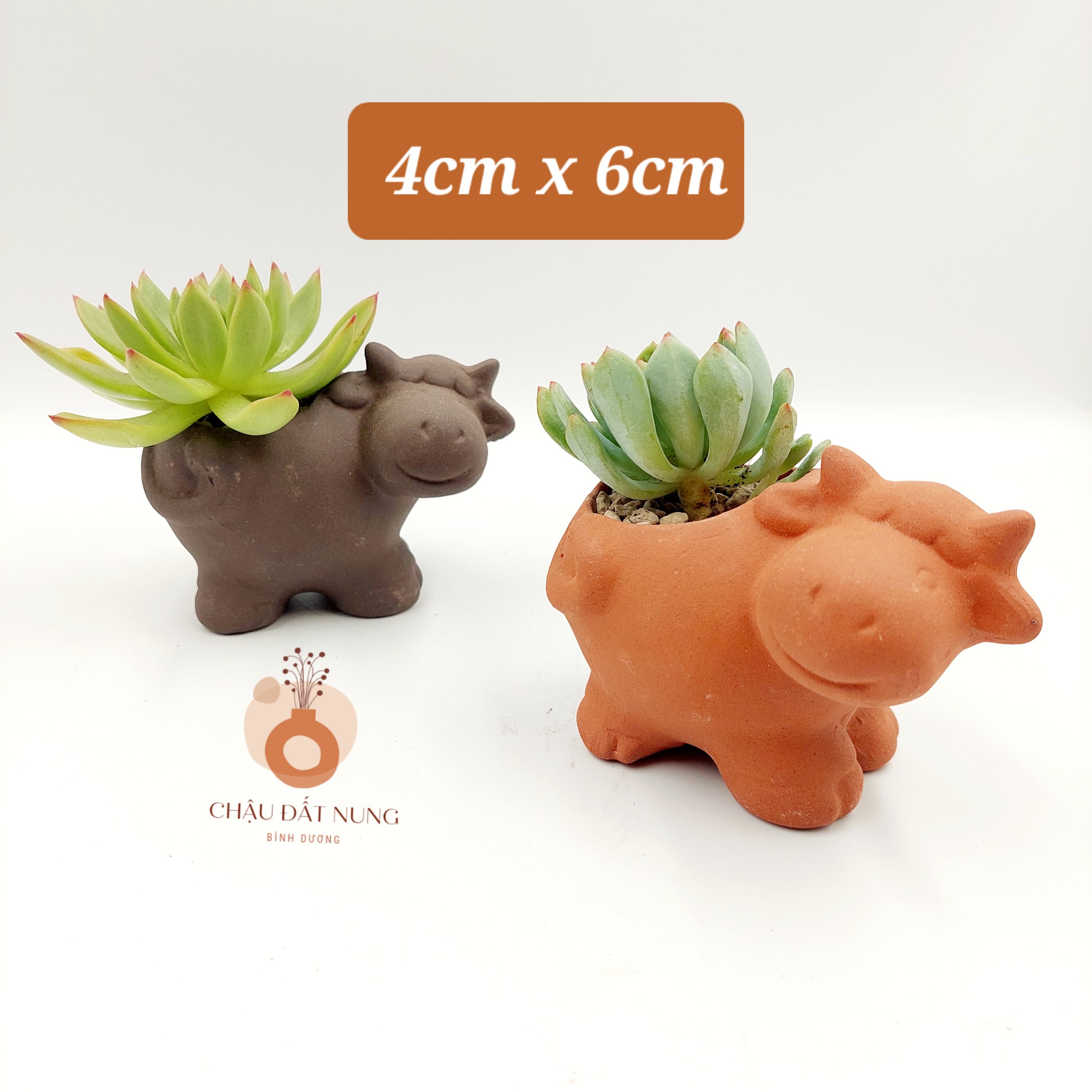 Chậu đất nung, chậu sen đá - Nghé con, bê con 46, miệng chậu 4cm, chiều cao 6cm