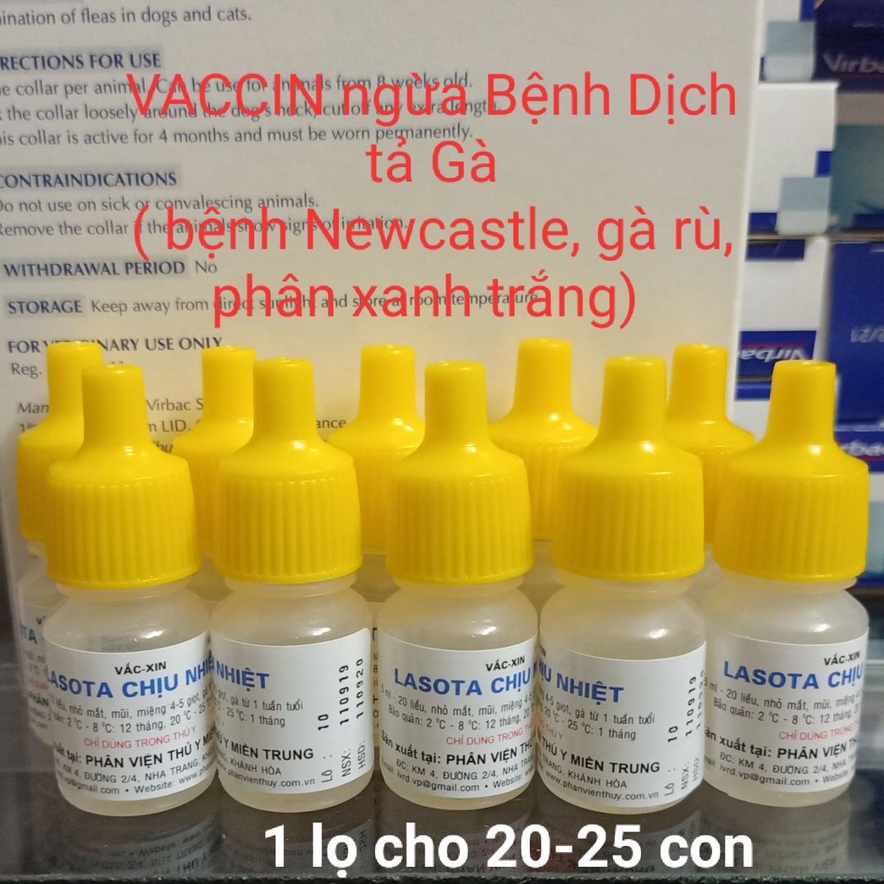 [Hoàn tiền 10%] [CÓ HỎA TỐC] Combo 10 Lọ Lasota Chịu Nhiệt - Dịch Tả Gà Rù Phân Xanh Trắng