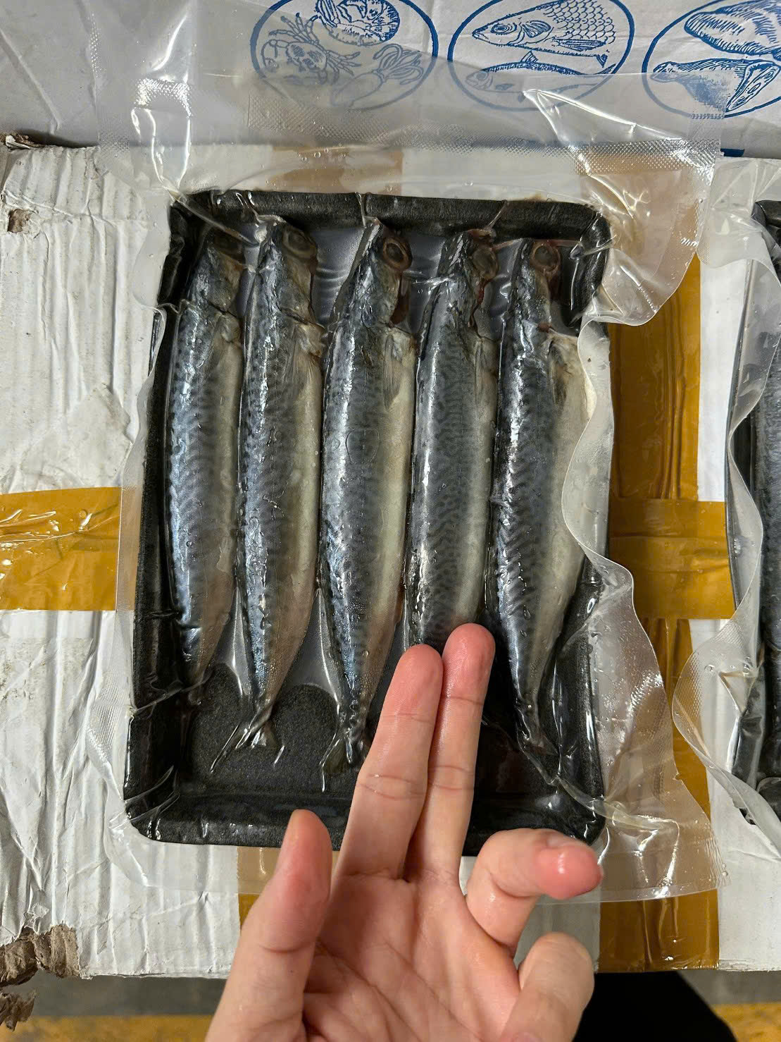 Cá Nục Sapa Mần Sạch - Khay 400gr Siêu ngon (giao hcm)