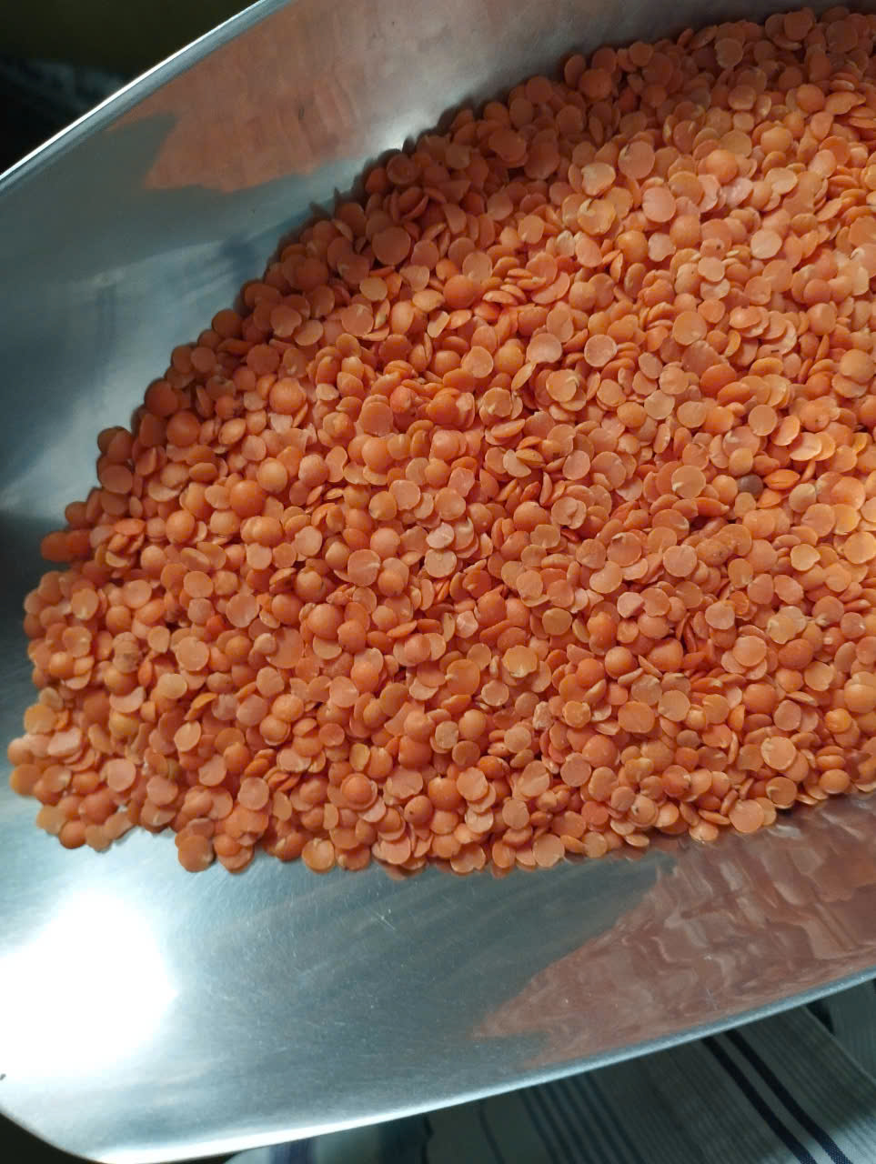 1KG Đậu Lăng Đỏ Tách Vỏ hữu cơ nhập khẩu Canada _ Súp đậu lăng  _ Cà ri đậu lăng _ Salad đậu lăng _Đậu lăng xào rau củ _ nồng sản giá sỉ _ nongsangiasi.com