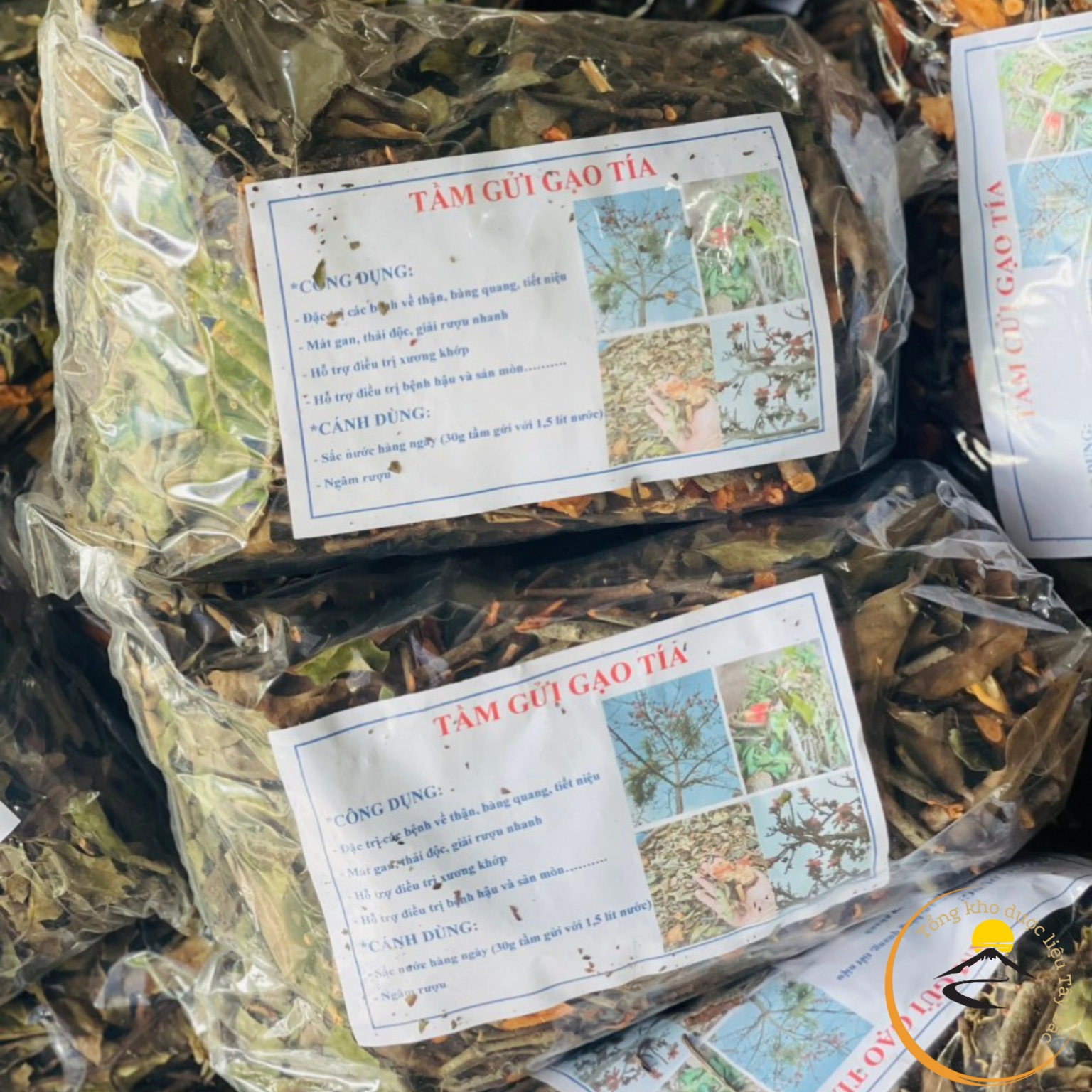 Tầm gửi cây gạo tía khô được lấy trực tiếp từ cây gạo trong rừng Tây Bắc, không qua trung gian