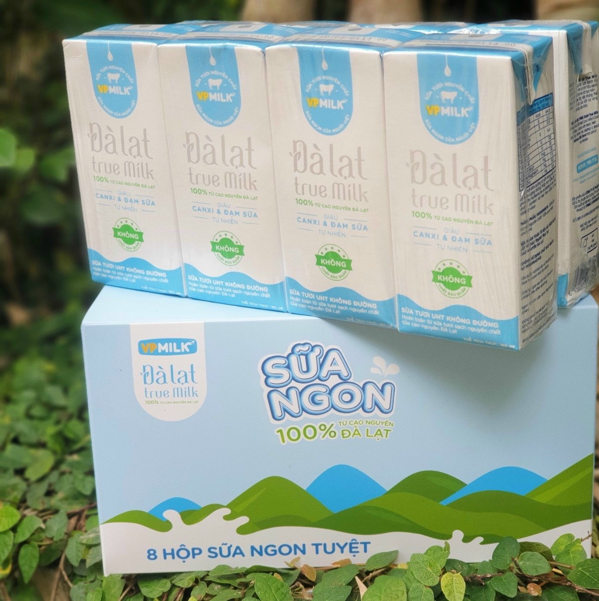 Sữa tiệt trùng ko đường đà lạt true milk 180ml / thùng