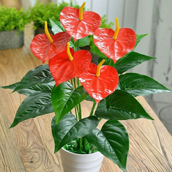 Cây hồng môn yến lớn cây giả 18 hoa & lá liz58