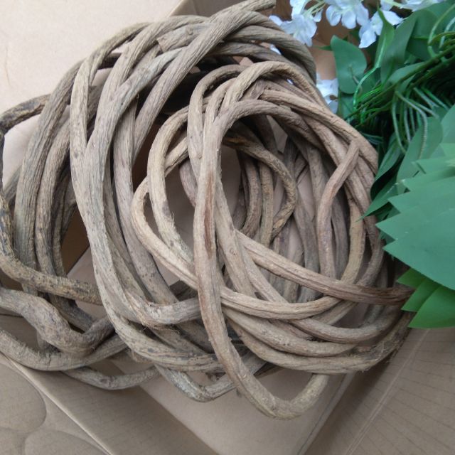 Dây rừng, dây leo tự nhiên trang trí