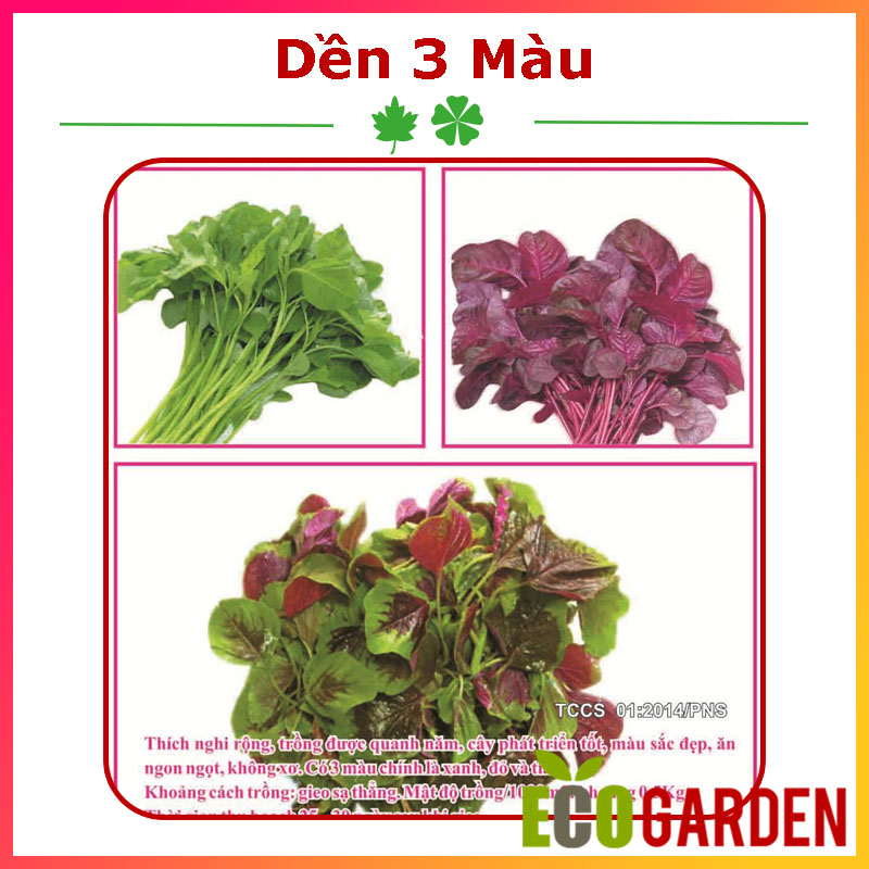 Hạt giống rau dền ba màu 20 gam