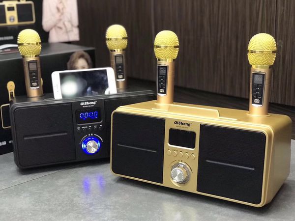 Loa karaoke bluetooth QiSheng QS-309 Kèm 2 Micro, Thiết Kế Với Bộ Điều Chỉnh Bass, Echo, Âm Lượng Trên Micro, Kết nối được với Laptop,Smartphone, IPhone, IPad, Máy tính bảng, Hát cực êm,Kết nối FM, thẻ nhớ SD, USB, Cực Kỳ Tiện Lợi