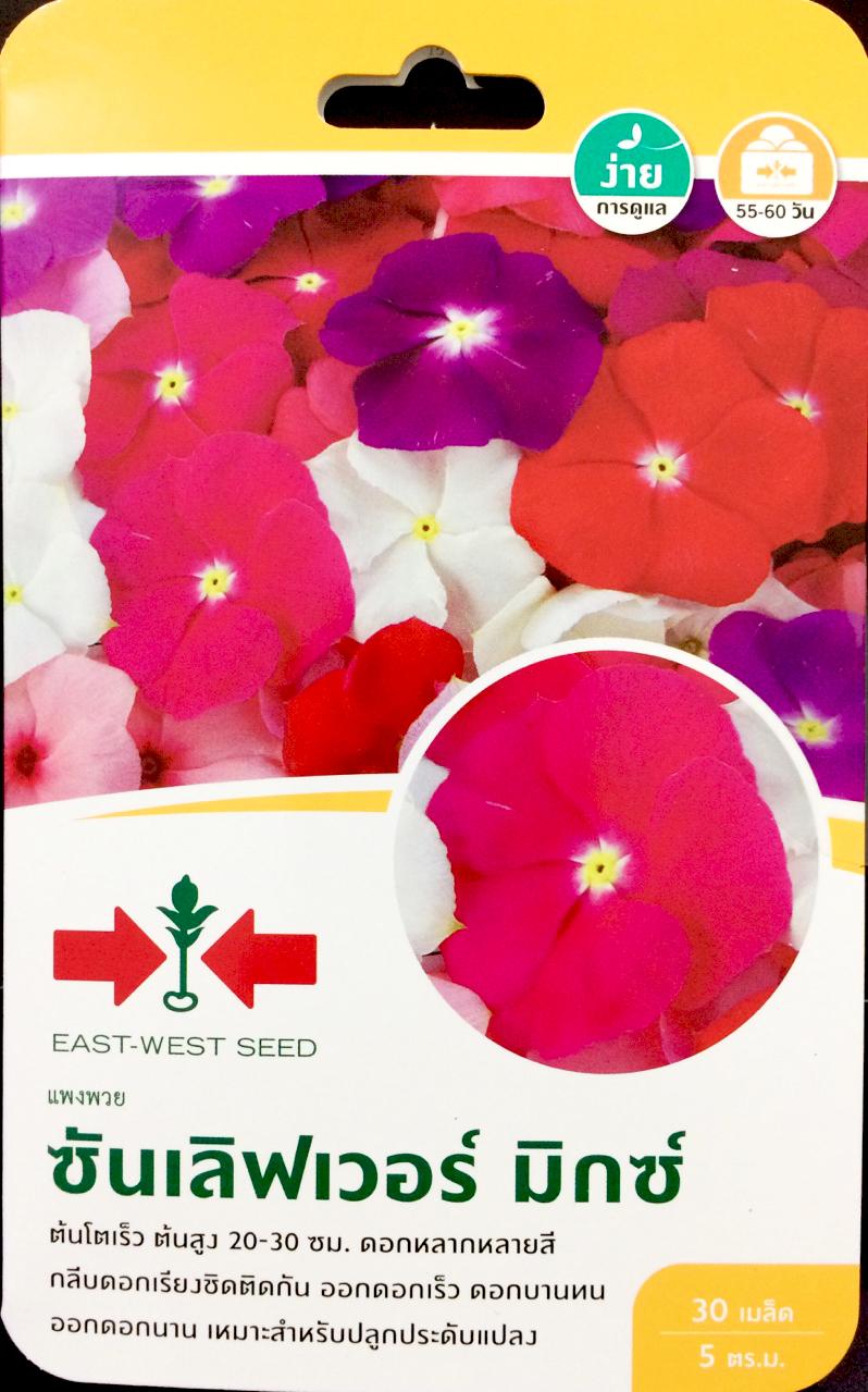 [HCM]HOA DỪA CẠN LÙN NHIỀU MÀU THÁI LAN   I  _GÓI 30 HẠT  .TẶNG KÈM GÓI PHÂN HOA CAO CẤP 10GRAM .