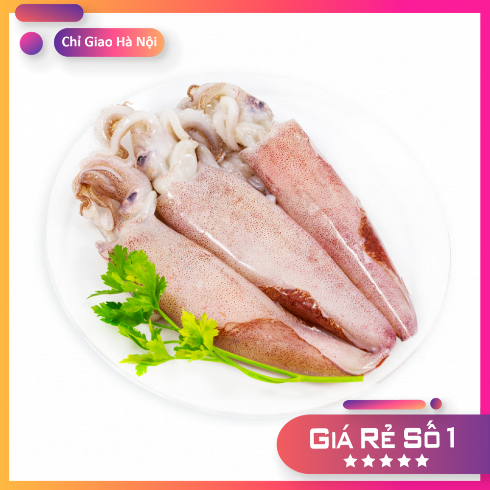 Mực Ống Câu Quảng Ninh Tươi Nguyên Con Khay 800G/1KG - Hải Sản Cao Cấp NatuFood [Chỉ Giao HN]