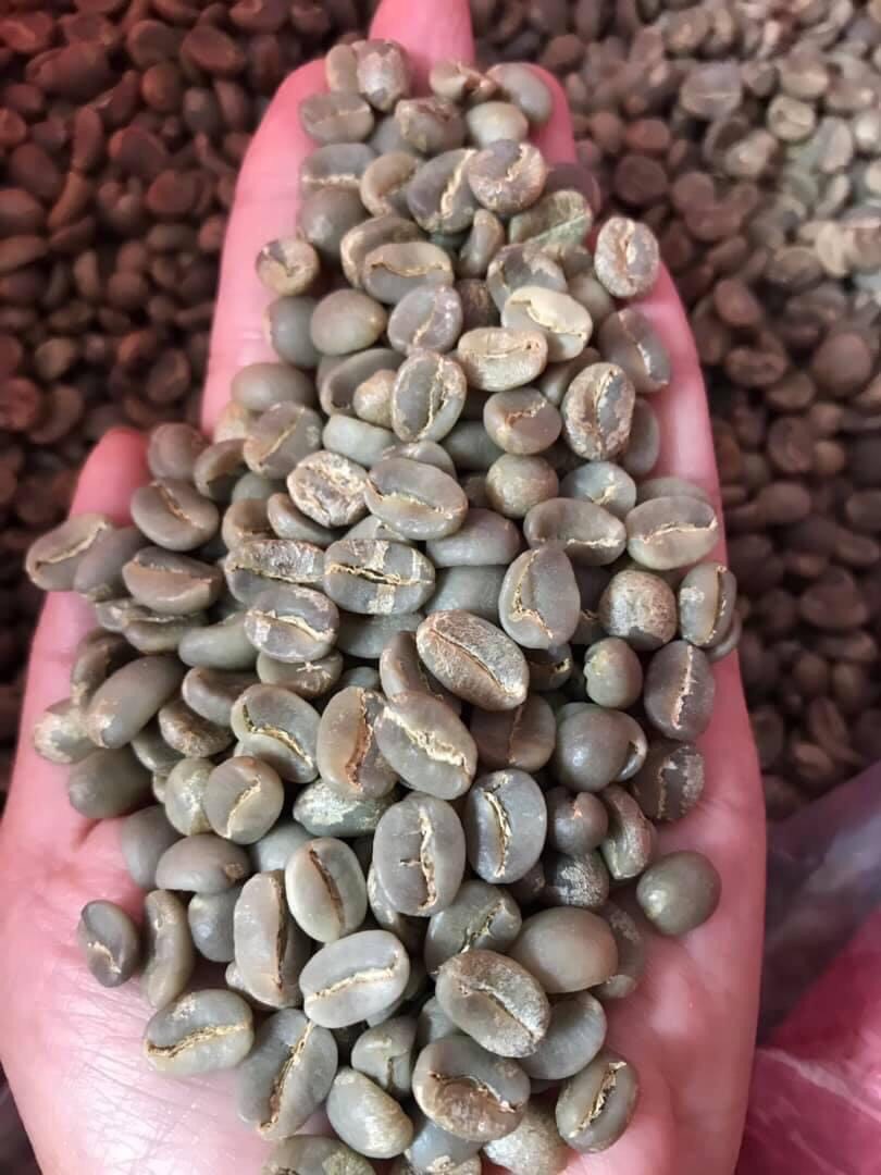 Cà phê nhân xanh arabica cầu đất hemera s18
