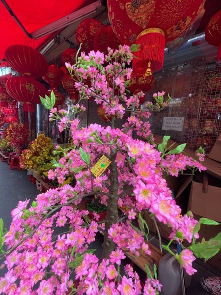 Cây Hoa Đào Nhựa Trang Trí Tết Cao 1m65-Bao Gồm Chậu Và Tặng Bao Lì Xì