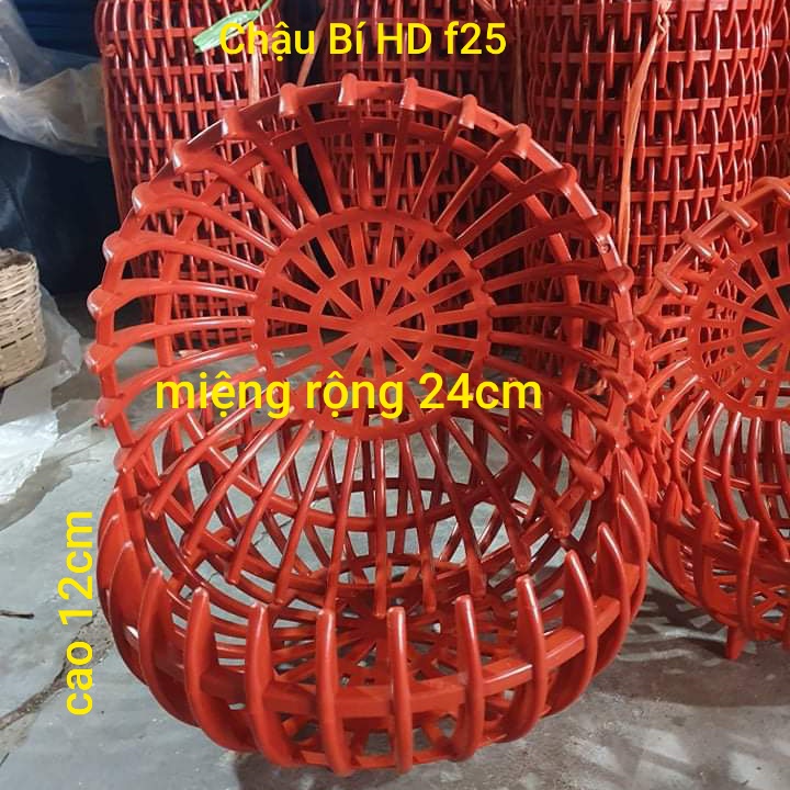 Combo 10 chậu bí f24,chậu nhựa trồng lan,giỏ treo lan