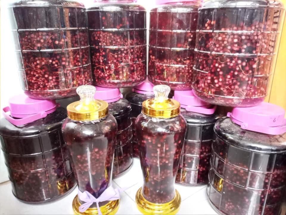 Nho rừng ngâm sẵn về uống bình 5l - giá : 500.000