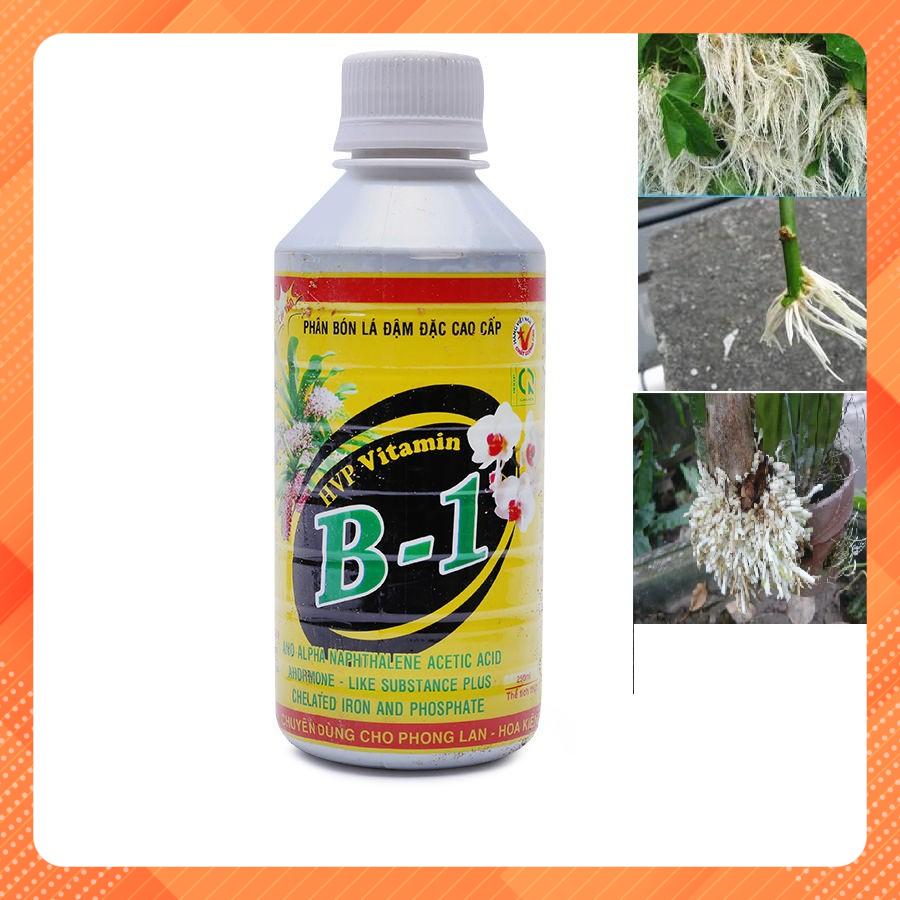 Bộ 5 Phân bón đậm đặc HPV Vitamin B1 cho Phong Lan 250ml - Tăng cường mạnh bộ rễ, nâng cao sức đề kháng với cây