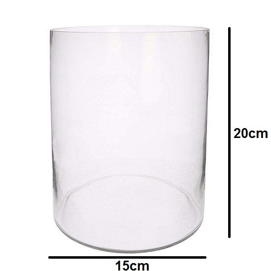 Bể cá mini , chậu thủy tinh trụ tròn 15x20cm