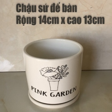 Chậu sứ để bàn cao cấp có đĩa hứng nước