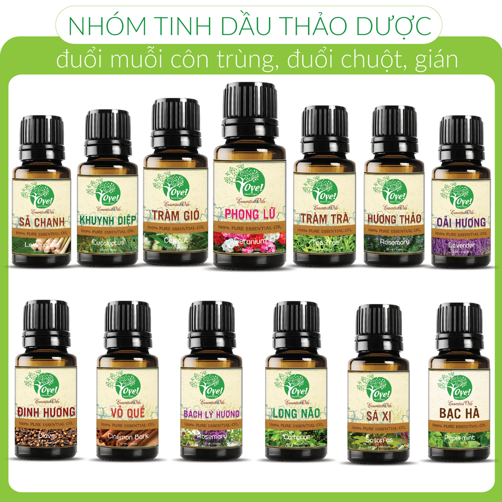 [37 Loại] Tinh Dầu Thiên Nhiên OYE 10ml - Khử mùi thơm phòng thư giãn giảm stress, Chống say tà xe, Đuổi muỗi côn trùng, Đuổi chuột, gián