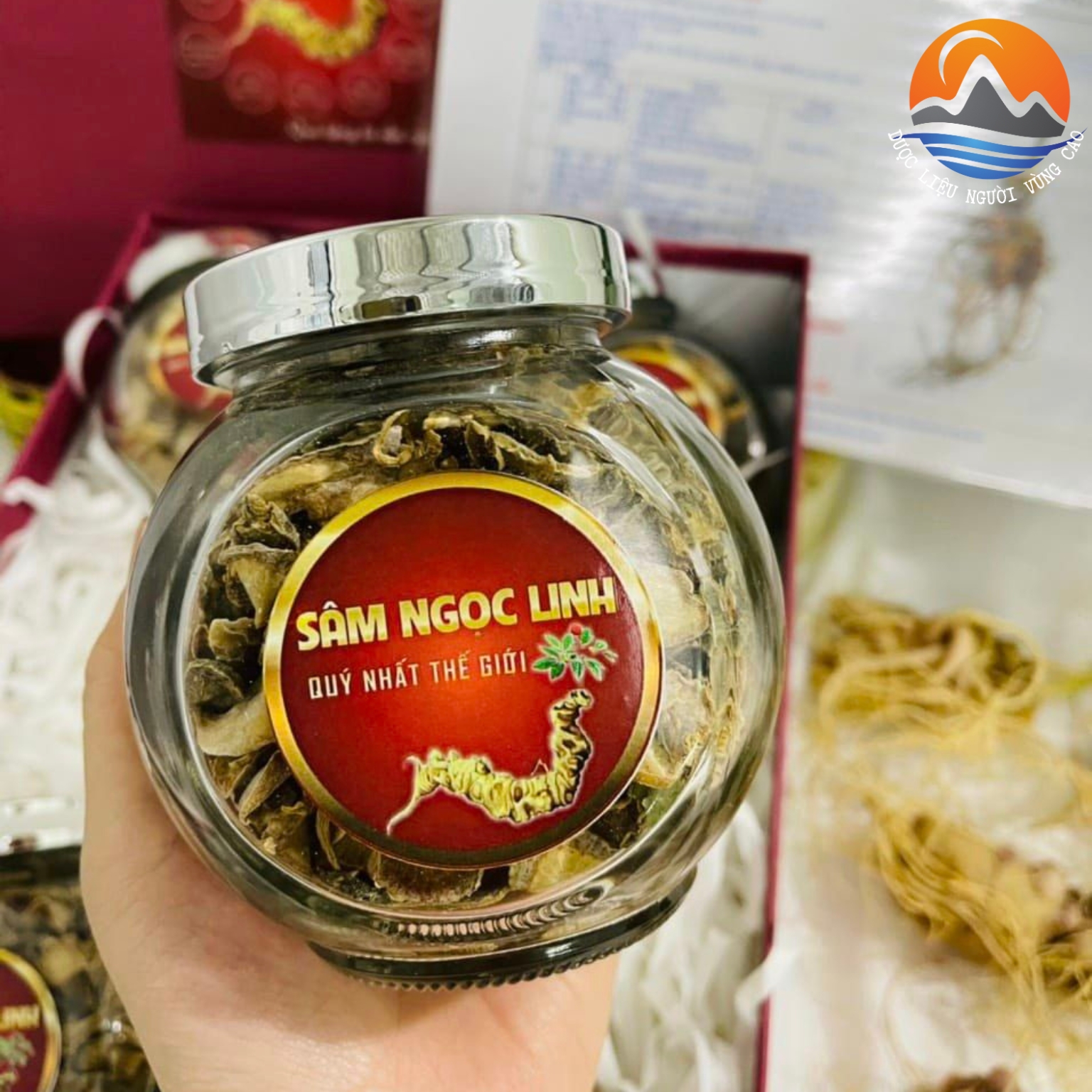 Sâm Ngọc Linh khô , sấy từ củ sâm ngọc linh tươi loại 1 thượng hạng. Dược liệu quý sâm ngọc linh, sâm lai châu