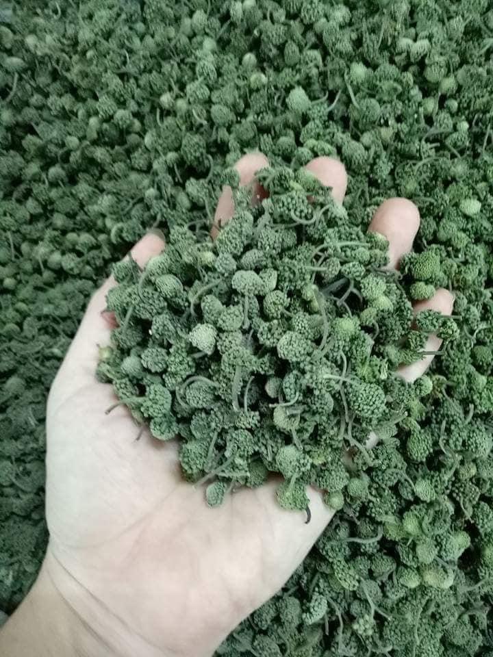 Nụ hoa tam thất - nụ bao tử loại 1 - sản phẩm tự nhiên