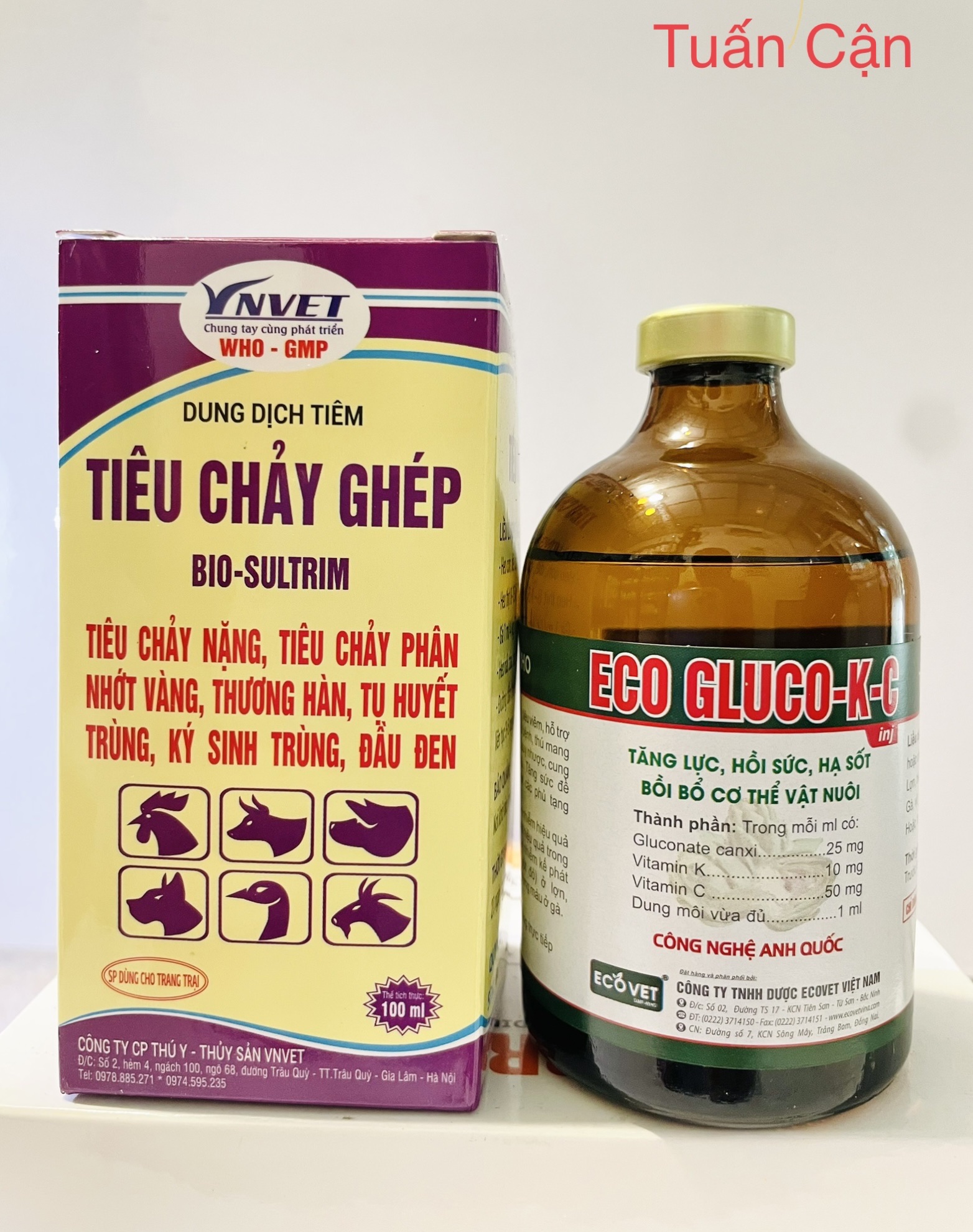 Tiêu Chảy Ghép(20ml-100ml)-Tiêu Chảy Ghép(20ml-100ml)+ Eco Gluco K C(20ml-100ml) đặc trị tiêu chảy phân xanh, phân trắng, chướng diều khô chân trên gà đá, gà kiểng, gà nòi, tiêu chảy nặng phân vàng, phân bùn, xi măng trên gia súc.