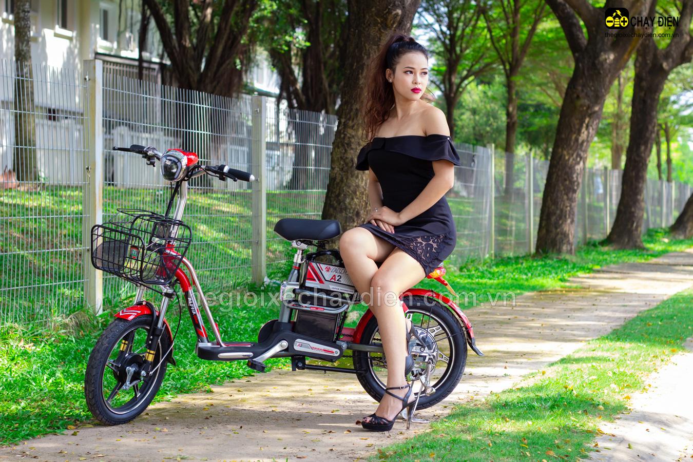 Xe đạp điện alpha a2