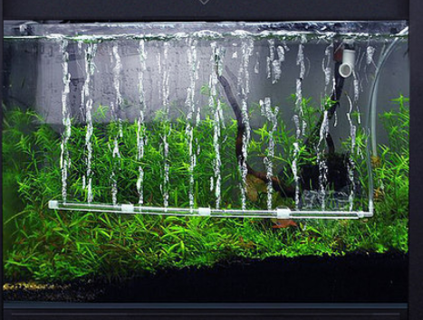 Dàn sủi khí trang trí cho bể cá