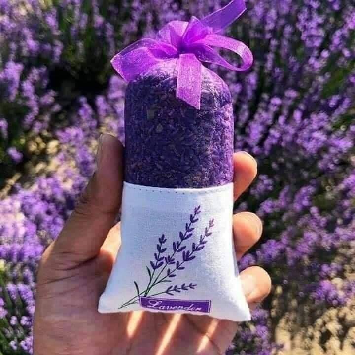 Túi thơm nụ hoa lavender khô - hàng nhập khẩu | túi thơm lavender