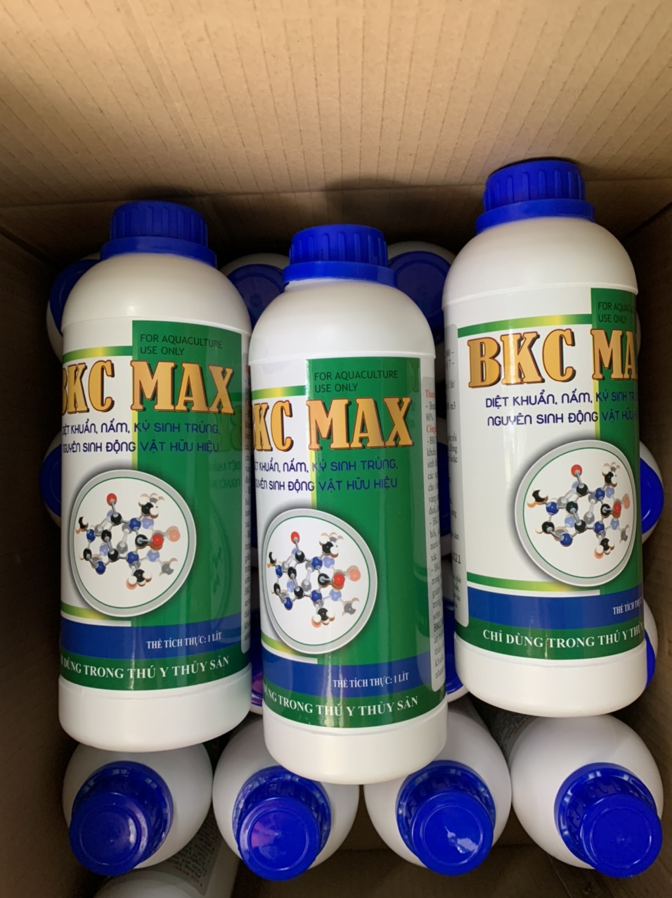 BKC Max diệt khuẩn nấm ký sinh trùng trên tôm cá