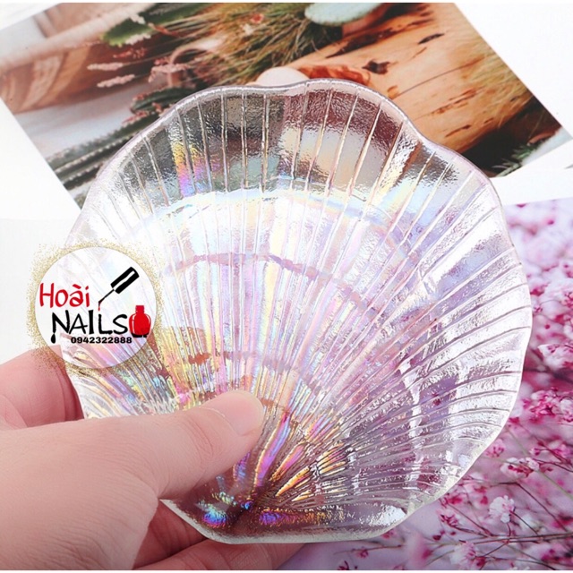 Vỏ sò chụp ảnh Phụ kiện Nail