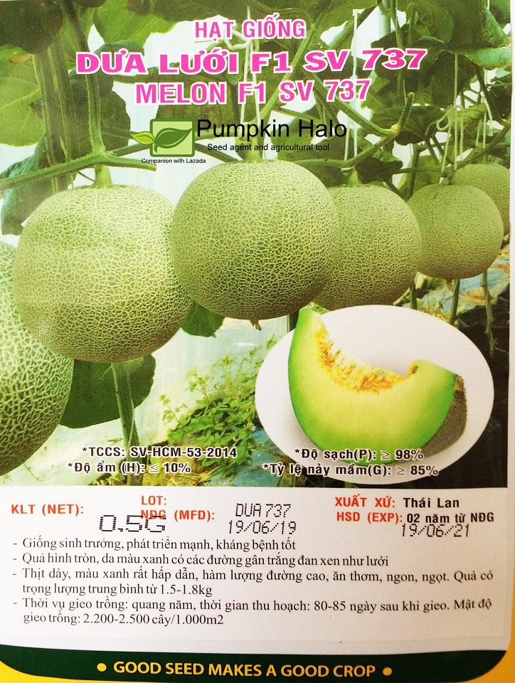 [HCM]GÓI 05GRAM -HẠT GIỐNG DƯA LƯỚI XS THAI LAN  F1 SV 737