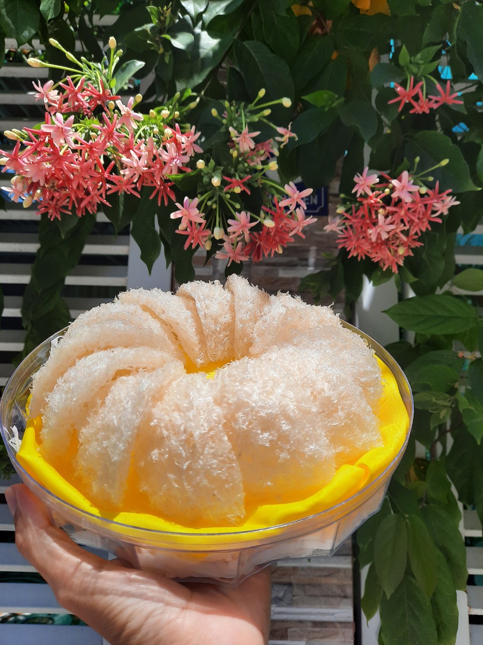 50gr Yến vụn sơ mướp kết tổ nguyên chất Nha Trang + Tặng kèm táo đỏ, đường phèn, hạt chia