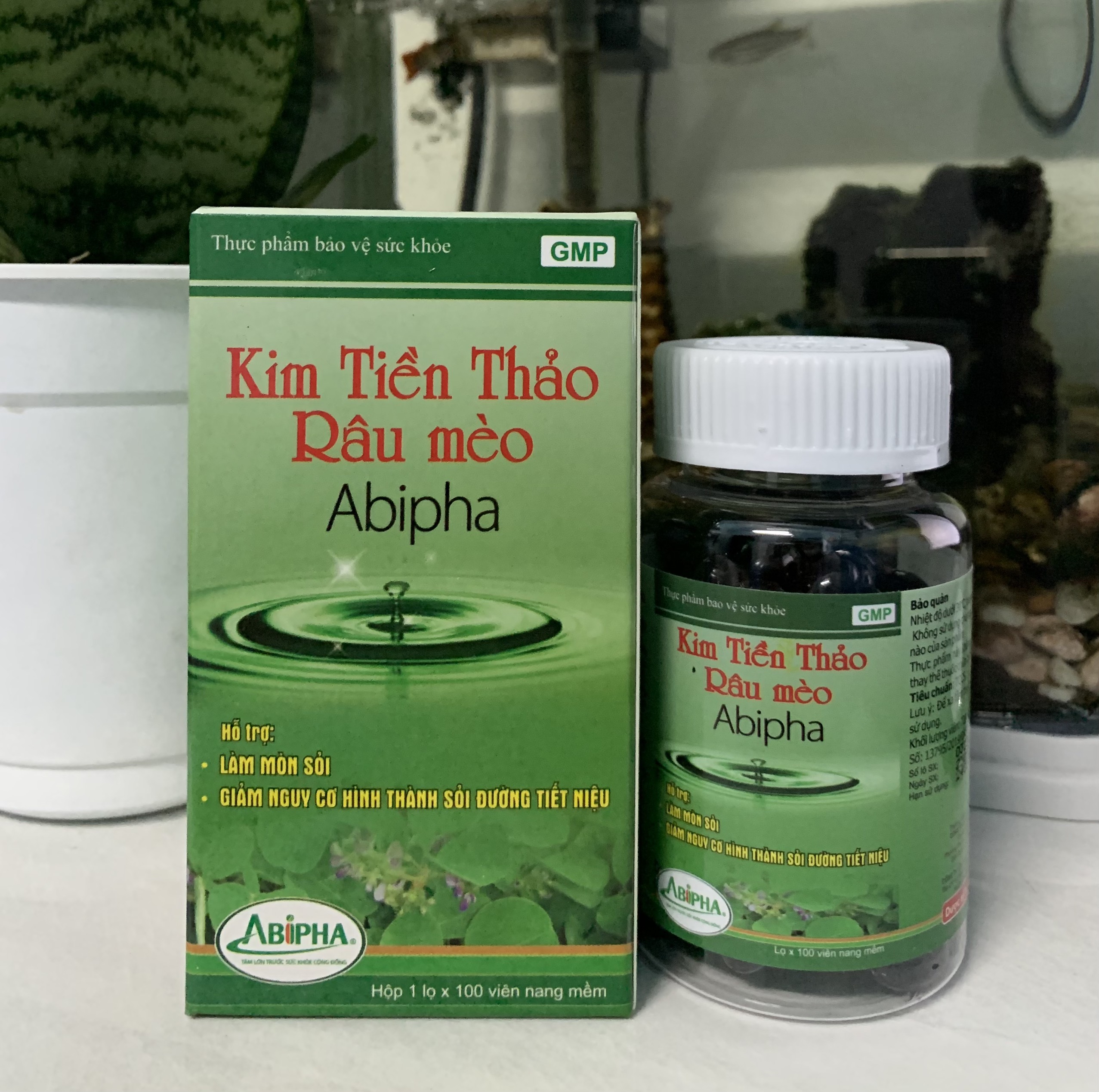 Kim tiền thảo Râu Mèo Abipha sỏi đường tiết niêu, sỏi thận, sỏi mật, sỏi bàng có quang, sổ niệu quản