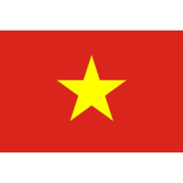 LOGO ủi nhiệt-mẫu logo cờ đỏ Việt Nam