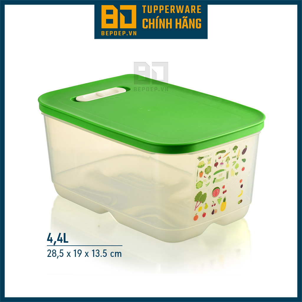 Hộp trữ mát có nút hô hấp Ventsmart 4,4L của Tupperware - Hộp nhựa trong cỡ lớn, chuyên dùng cho rau, củ quả