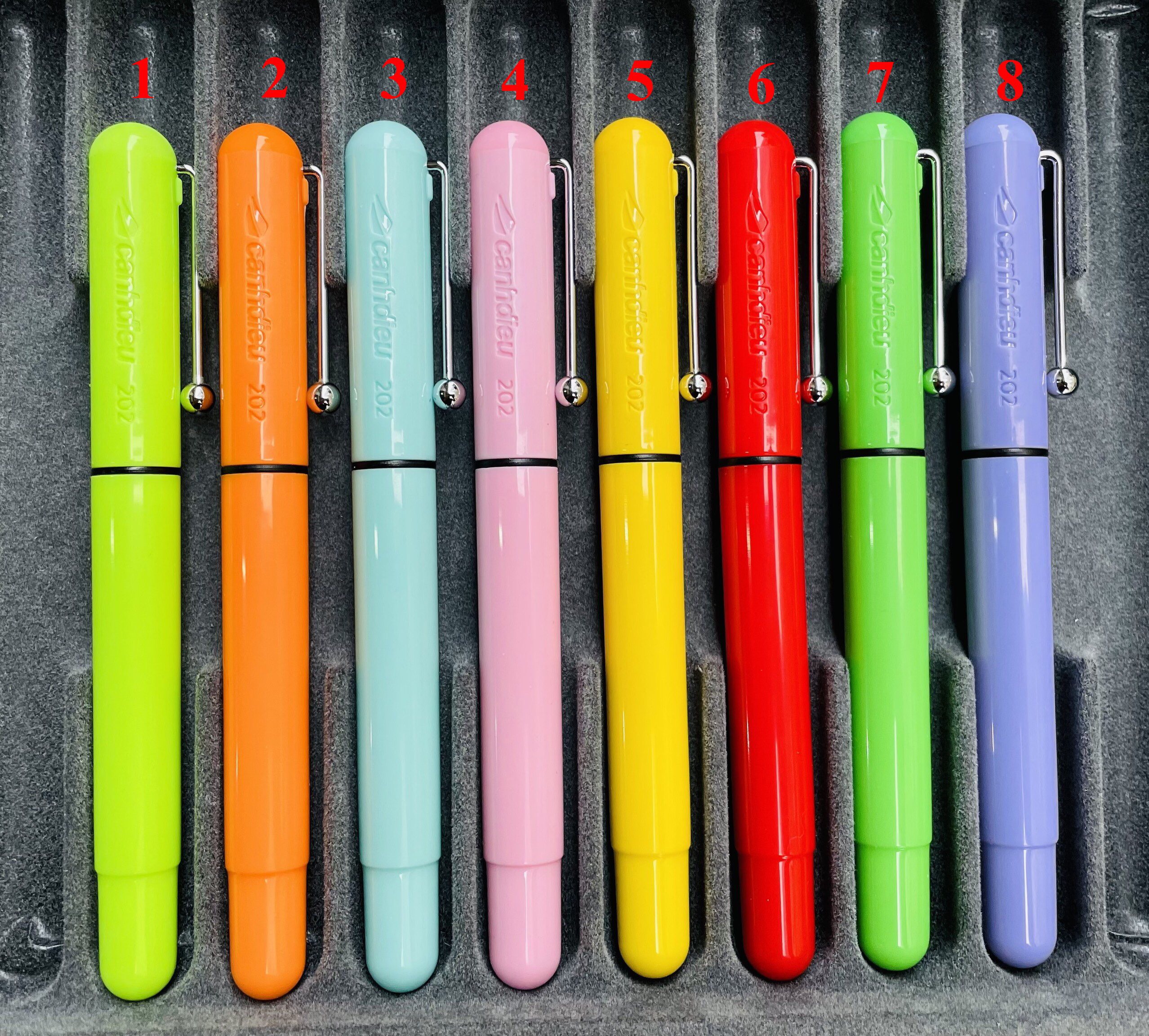 Bút máy học sinh Cánh Diều 202